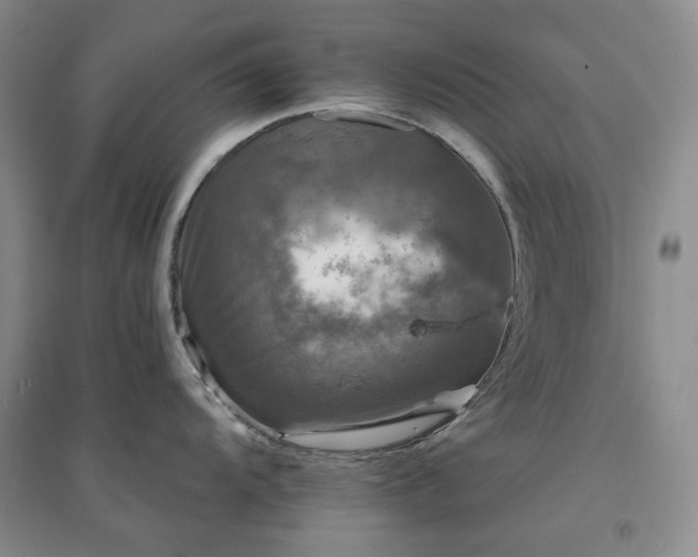 X0000094431104200711151336