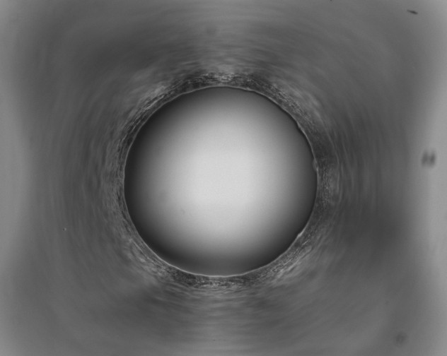 X0000094431105200711151336