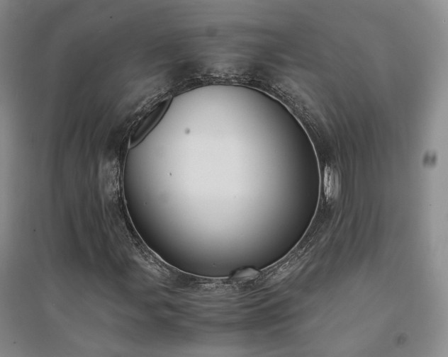 X0000094431107200711151336