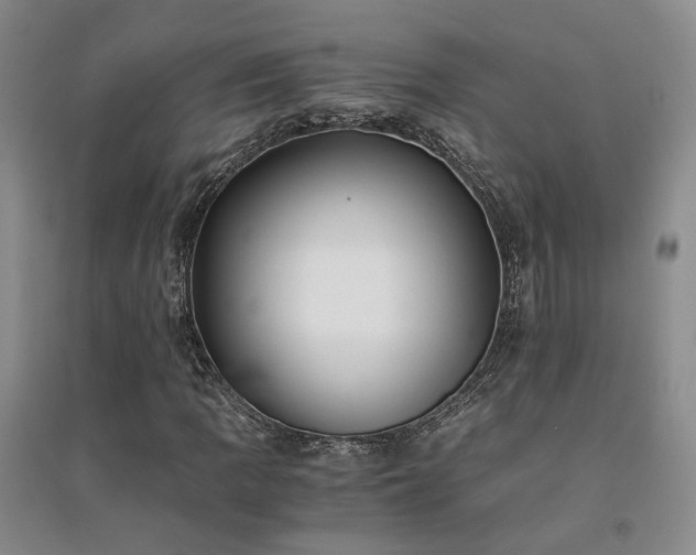 X0000094431109200711151336
