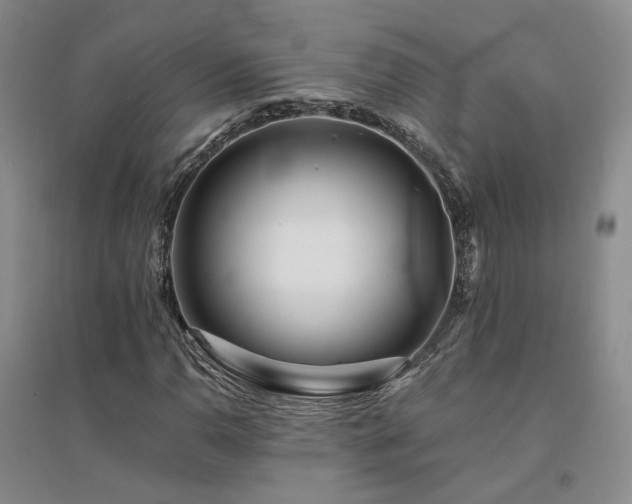 X0000094431110200711151336