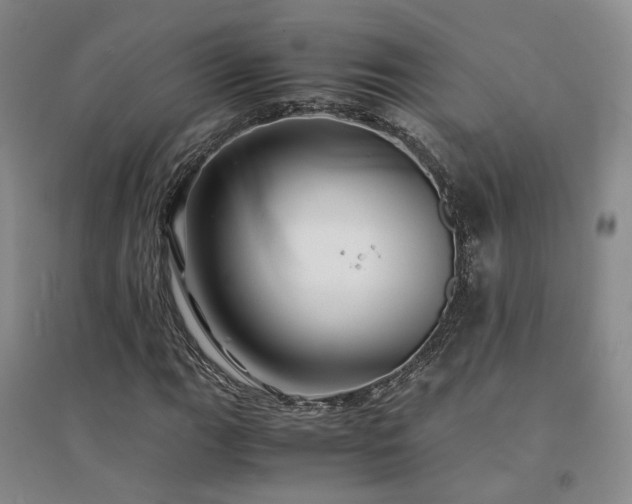 X0000094431111200711151336