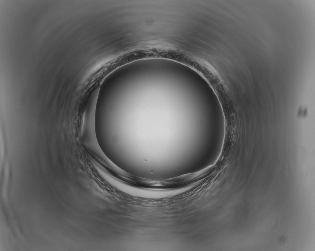 X0000094431112200711151336
