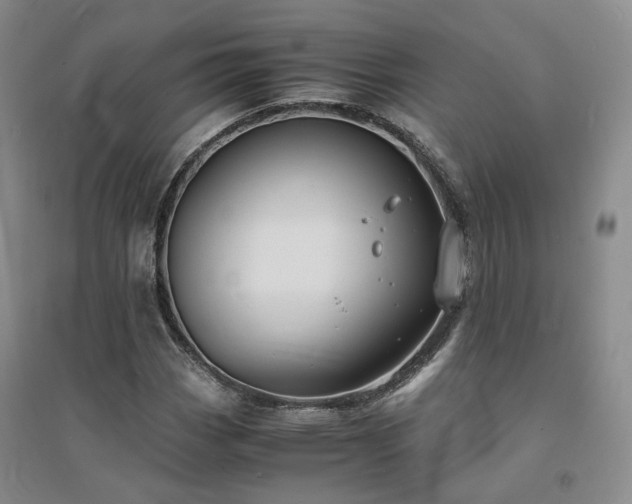 X0000094431113200711151336