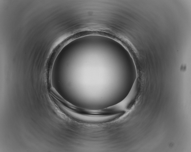 X0000094431114200711151336