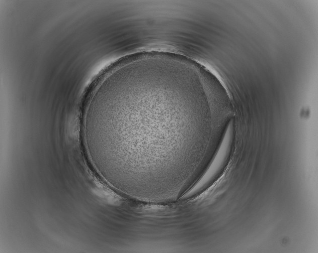 X0000094431115200711151336
