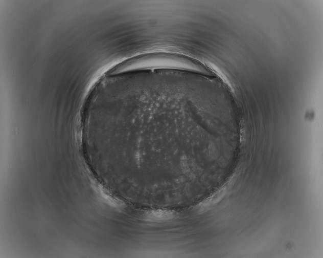 X0000094431117200711151336