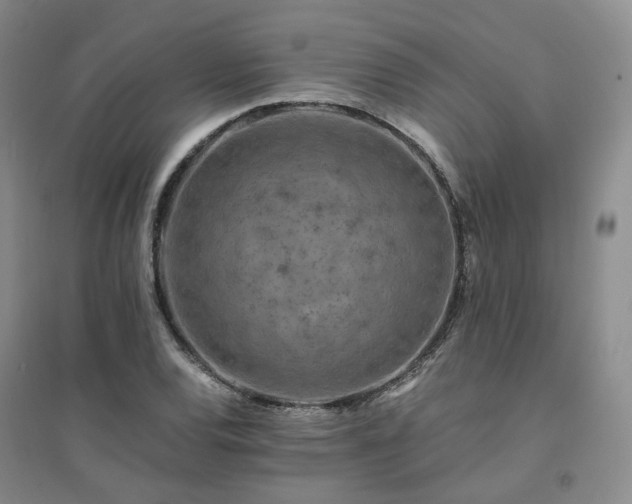 X0000094431120200711151336