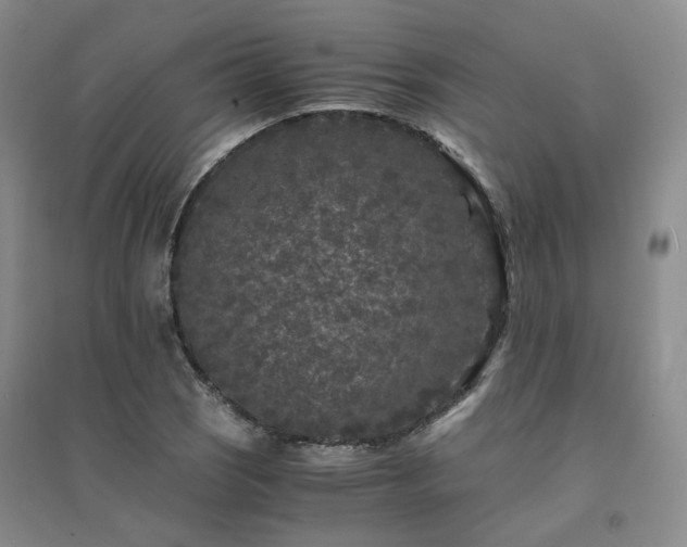 X0000094431121200711151336