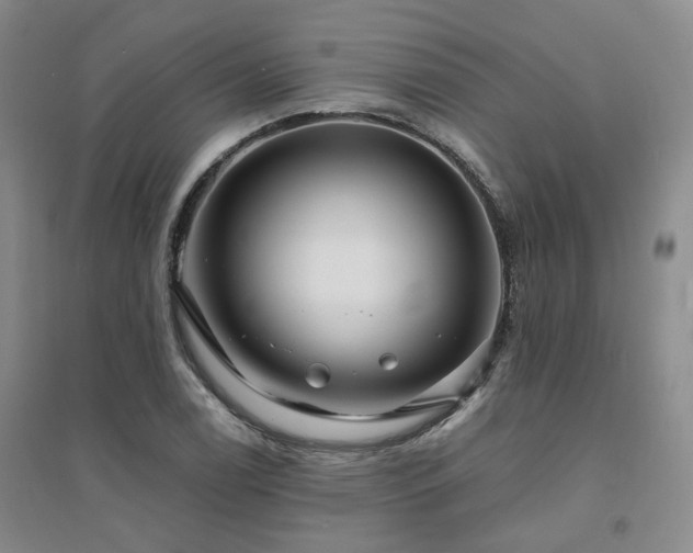 X0000094431122200711151336