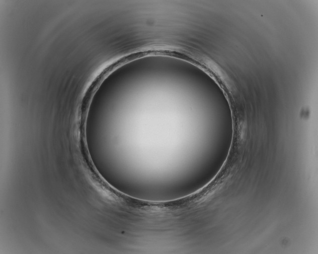 X0000094431124200711151336