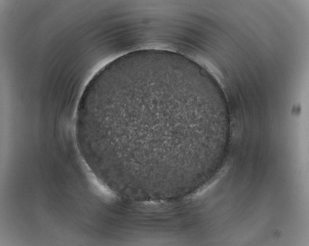 X0000094431125200711151336