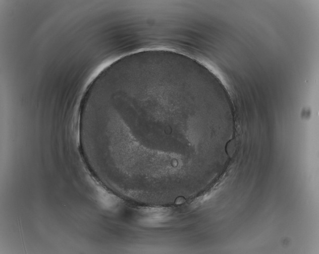 X0000094431127200711151336