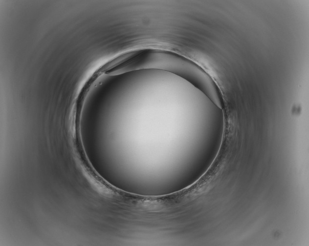 X0000094431128200711151336