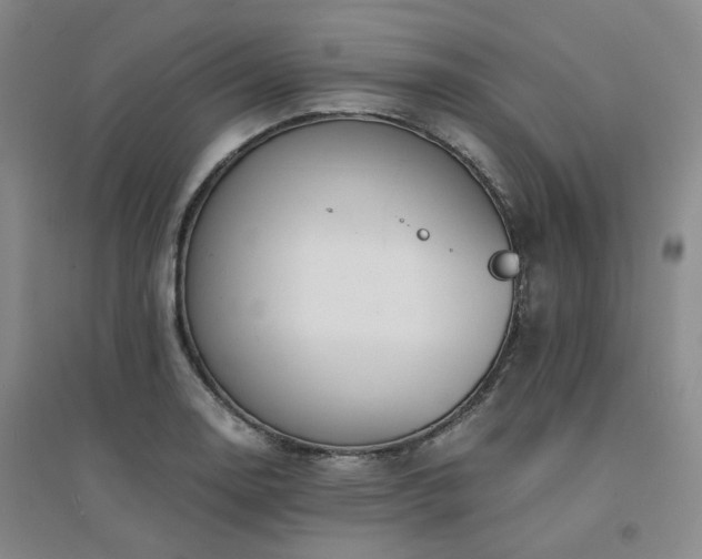 X0000094431130200711151336