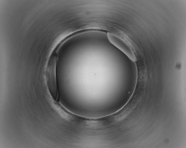 X0000094431132200711151336