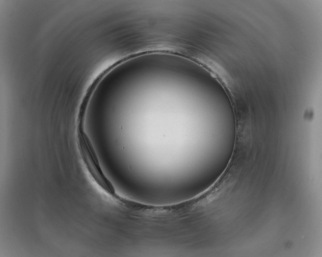X0000094431135200711151336