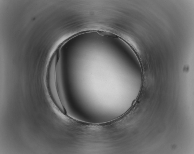 X0000094431136200711151336