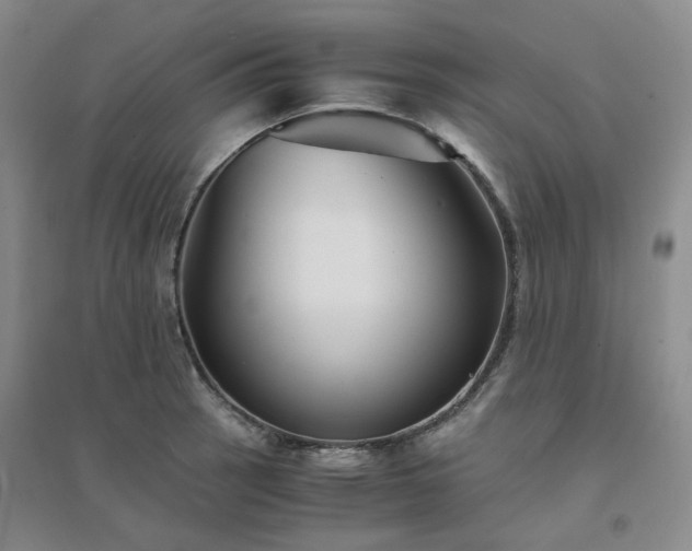 X0000094431137200711151336