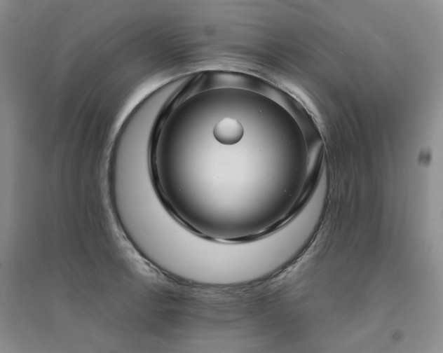 X0000094431138200711151336