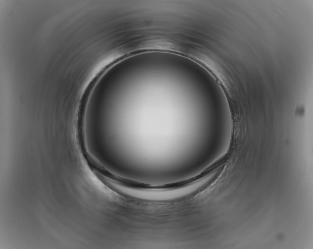 X0000094431139200711151336