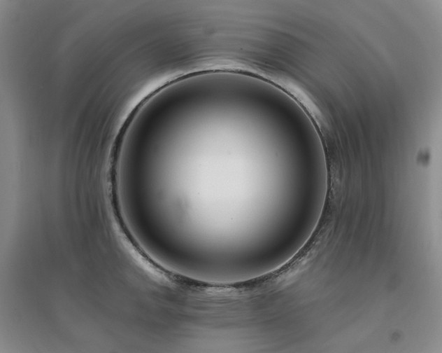 X0000094431142200711151336
