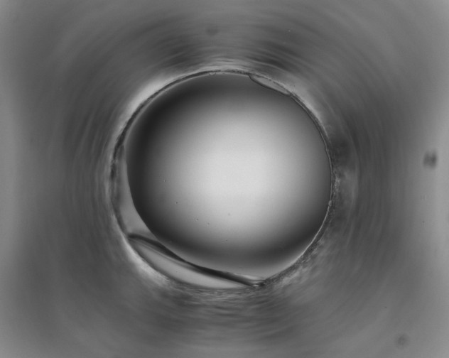 X0000094431143200711151336