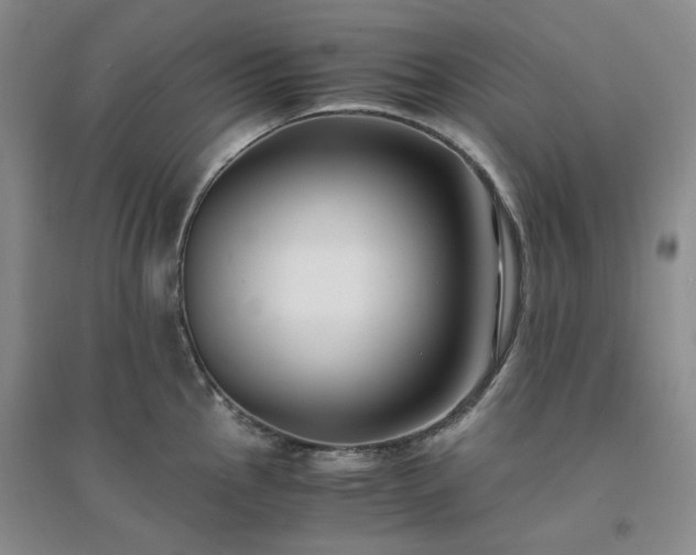 X0000094431145200711151336