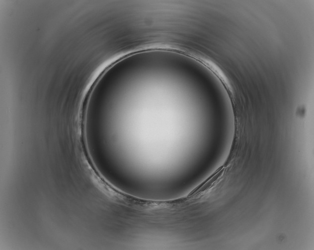 X0000094431148200711151336