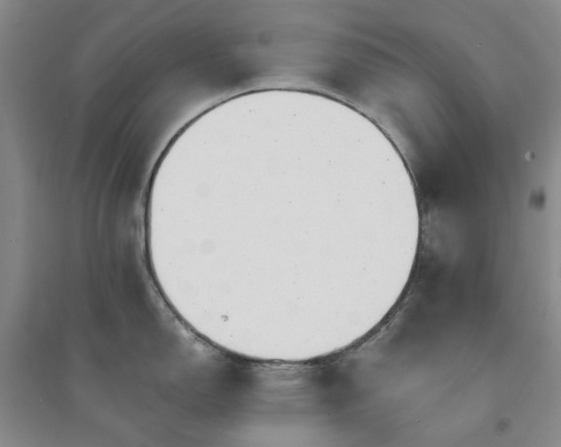 X0000094431150200711151336