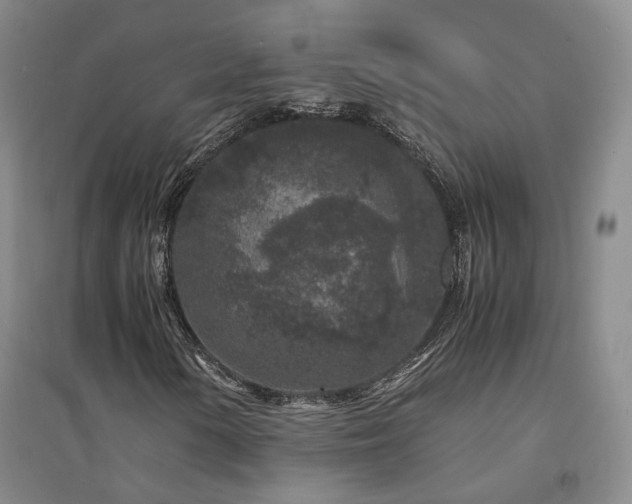 X0000094431154200711151336