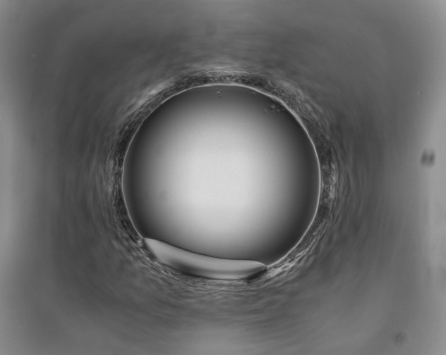 X0000094431157200711151336