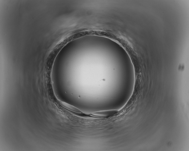 X0000094431159200711151336