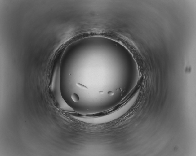 X0000094431160200711151336