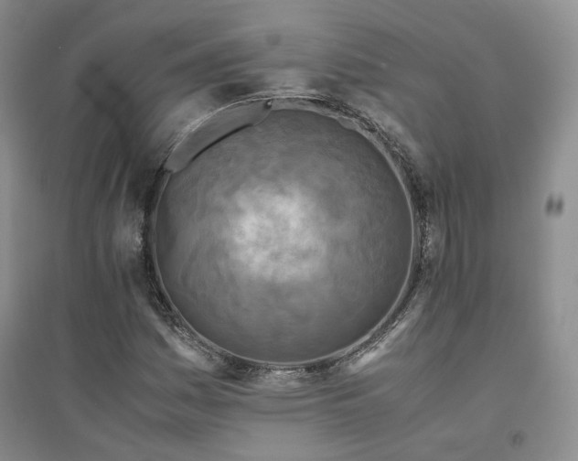 X0000094431161200711151336