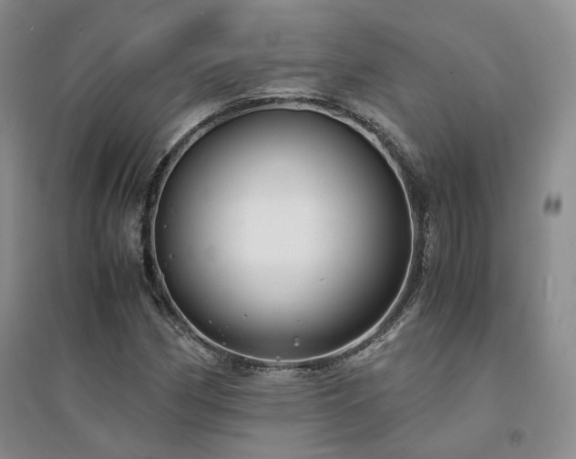 X0000094431162200711151336