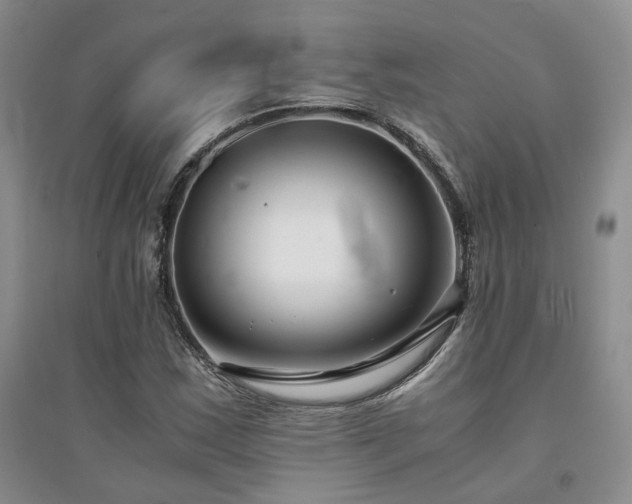 X0000094431163200711151336
