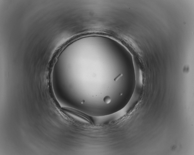 X0000094431164200711151336