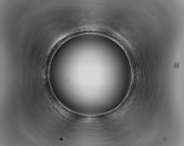 X0000094431166200711151336