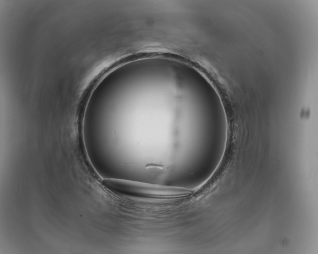 X0000094431167200711151336