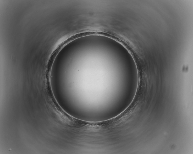 X0000094431168200711151336