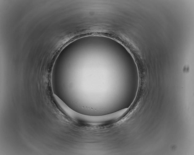 X0000094431169200711151336