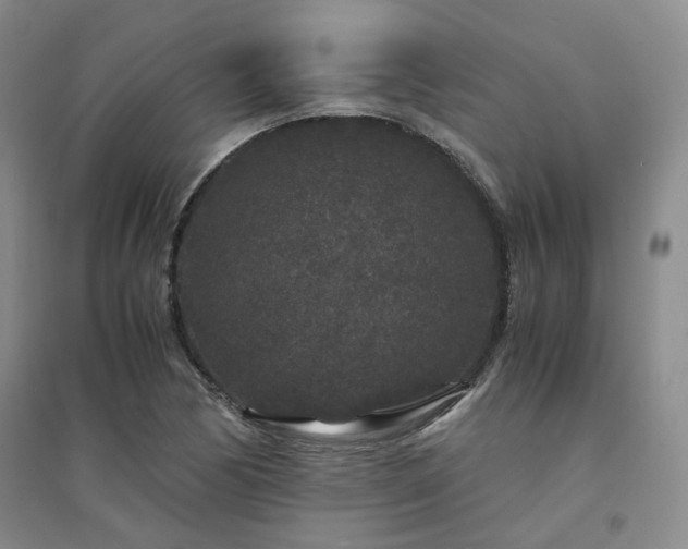 X0000094431170200711151336