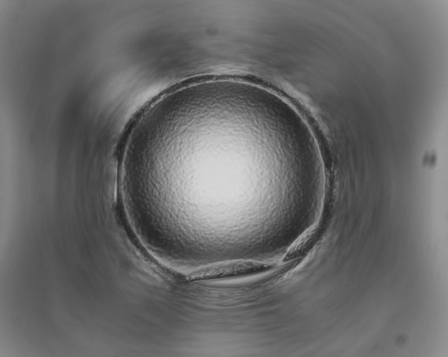 X0000094431171200711151336