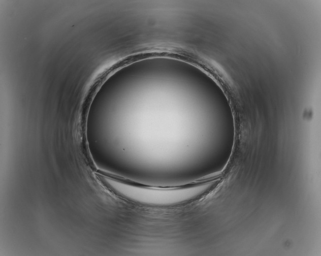 X0000094431172200711151336