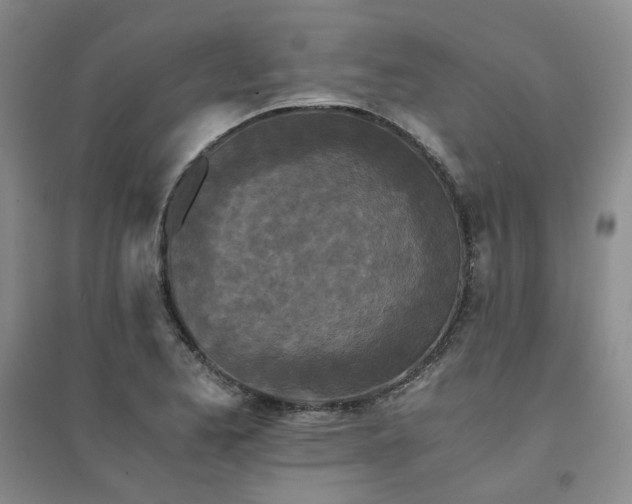 X0000094431173200711151336