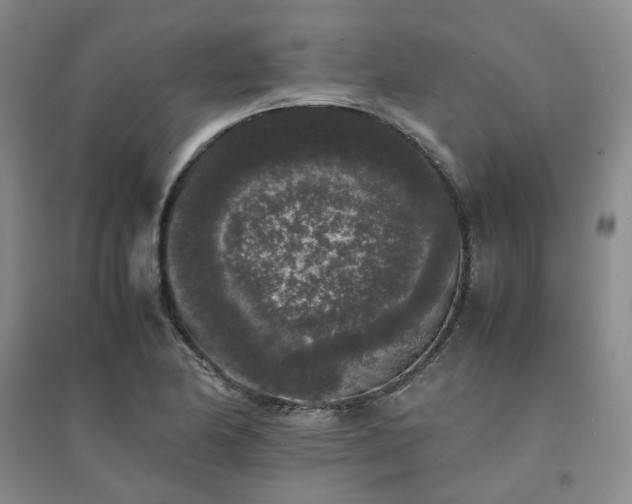 X0000094431174200711151336