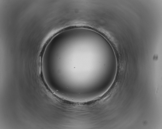 X0000094431175200711151335