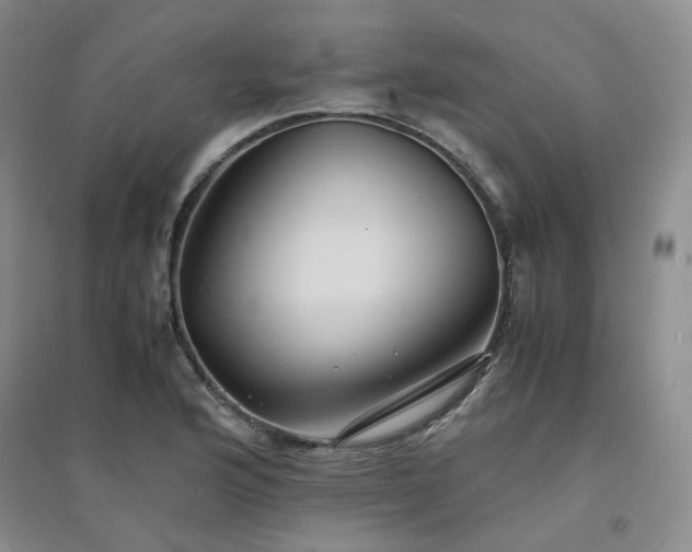 X0000094431176200711151335