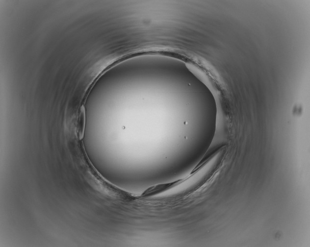 X0000094431177200711151335